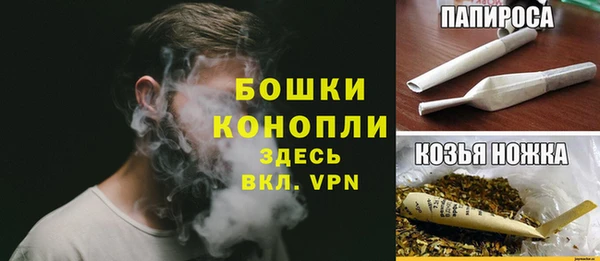 гидра Зеленодольск