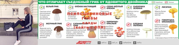 гидра Зеленодольск