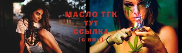 гидра Зеленодольск