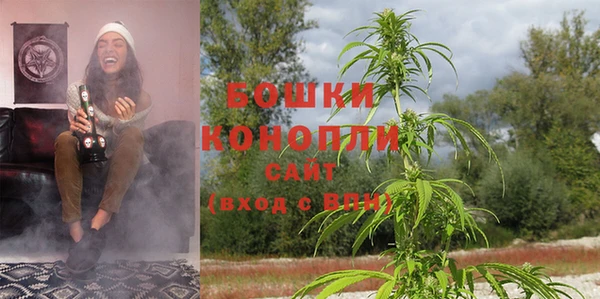 прущие грибы Зеленокумск