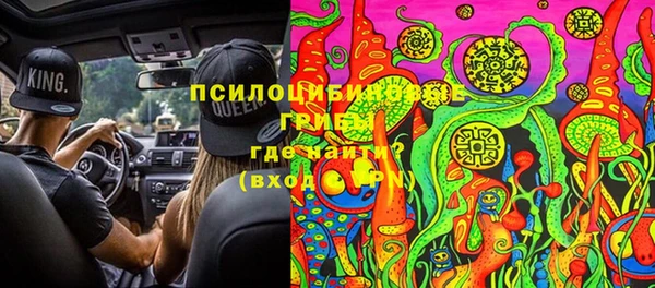 прущие грибы Зеленокумск