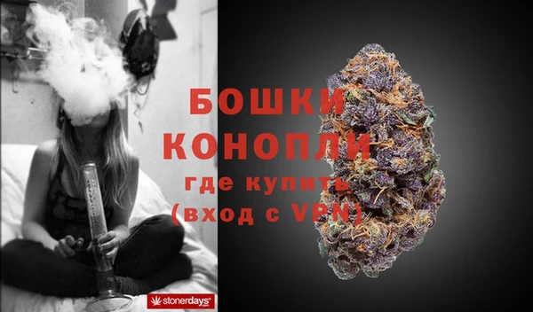 гидра Зеленодольск