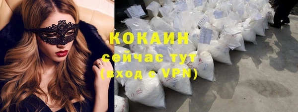 прущие грибы Зеленокумск