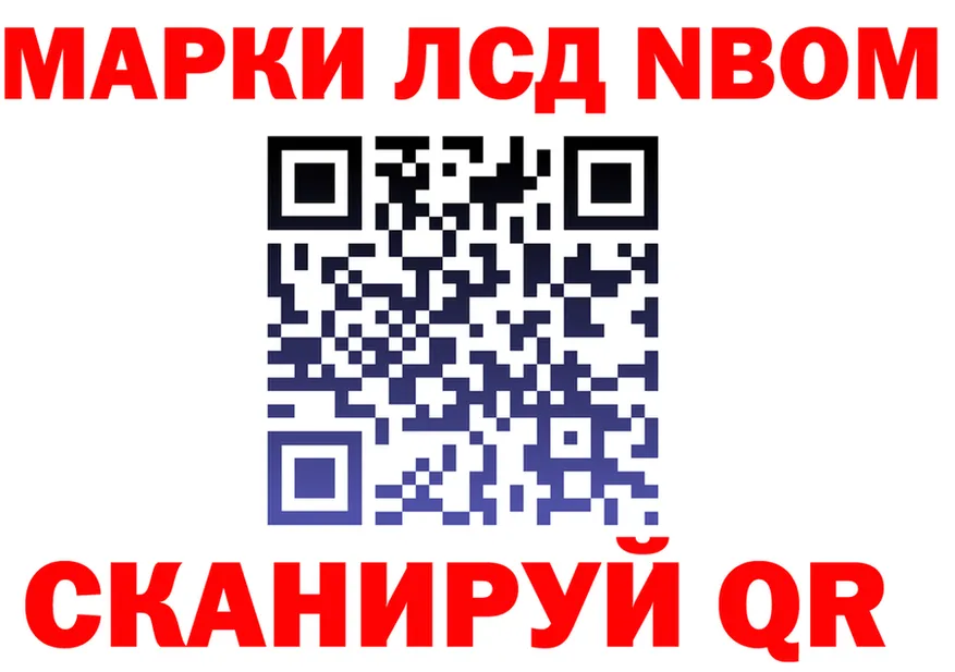 Alfa_PVP СК КРИС вход маркетплейс KRAKEN Находка