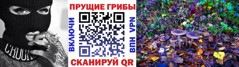 купить наркотик  mega ссылка  Псилоцибиновые грибы прущие грибы  Находка 