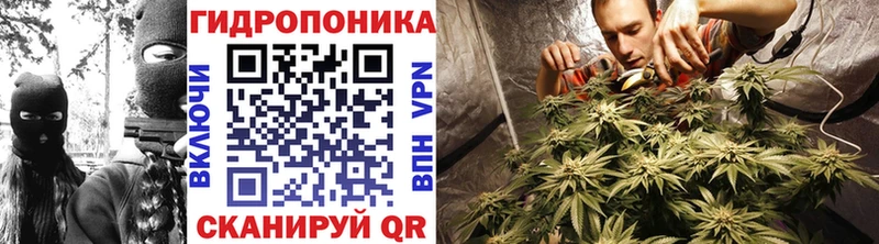 где найти   Находка  Марихуана ГИДРОПОН 